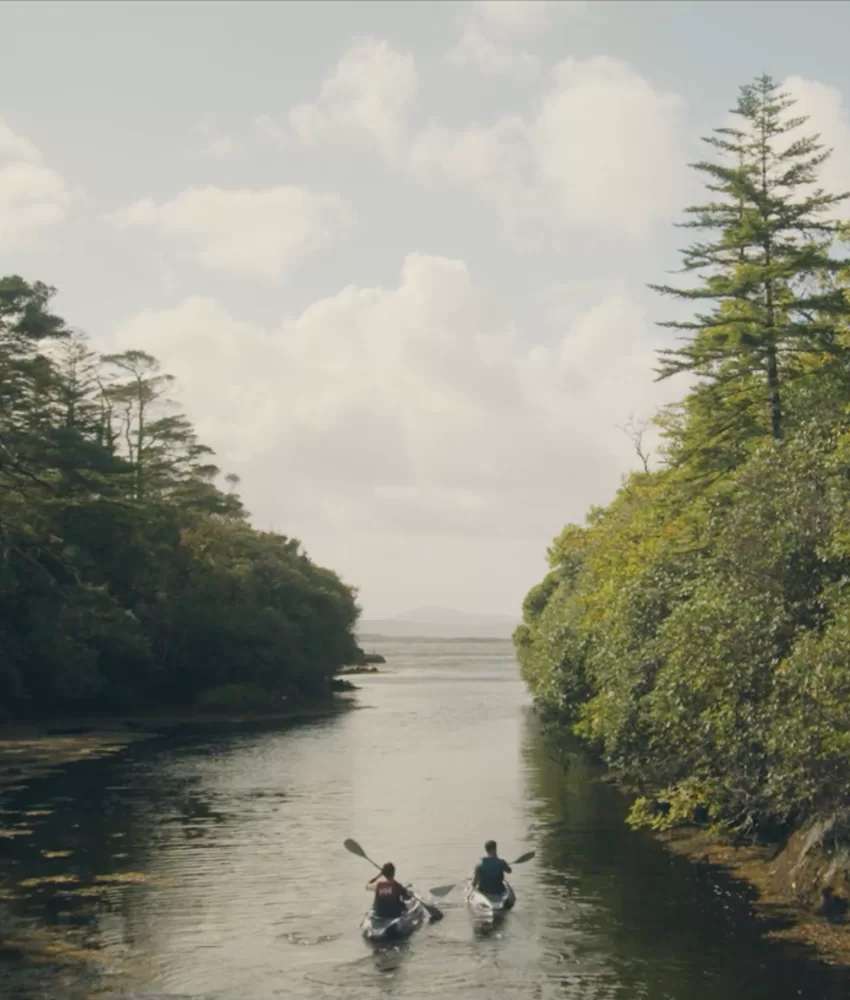 Director Photos (34)