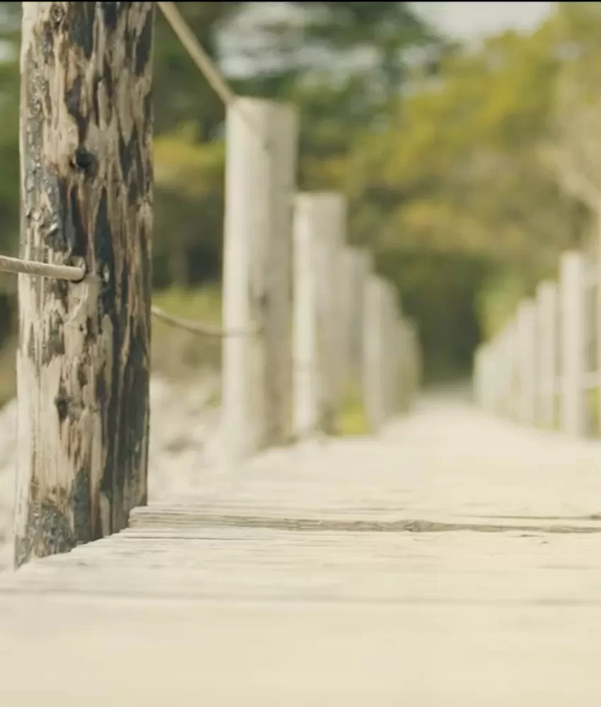 Director Photos (36)